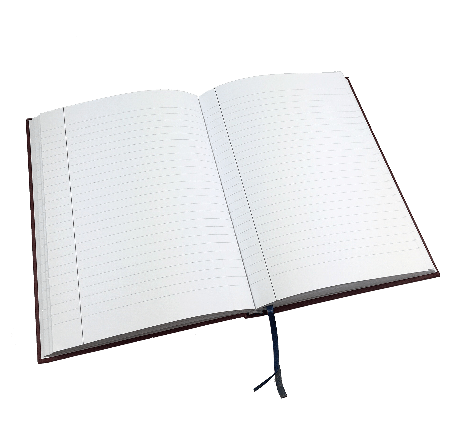 Directors Notebook