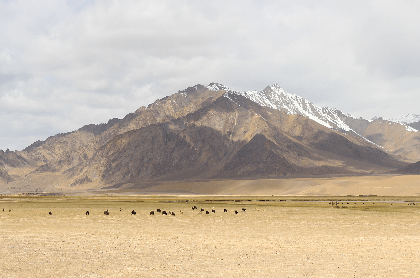 Scenic view in Tajikistan. Photo by Indy Guide. 