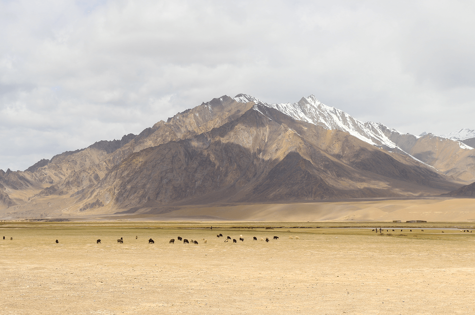Scenic view in Tajikistan. Photo by Indy Guide.