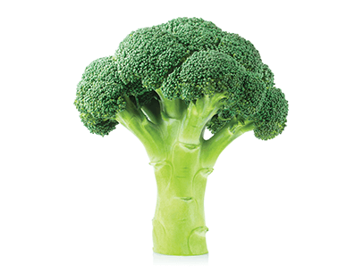 Stock image of green broccoli 