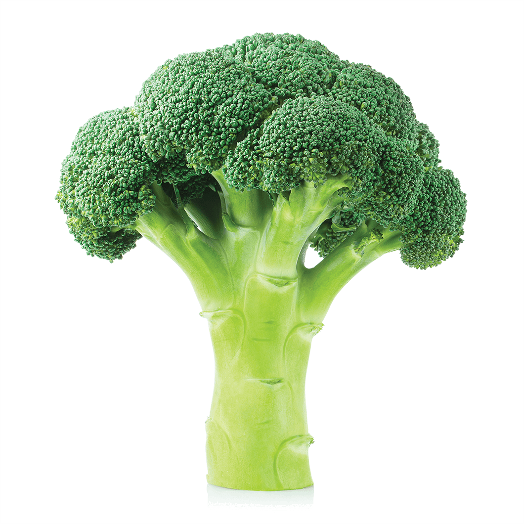 Stock image of green broccoli