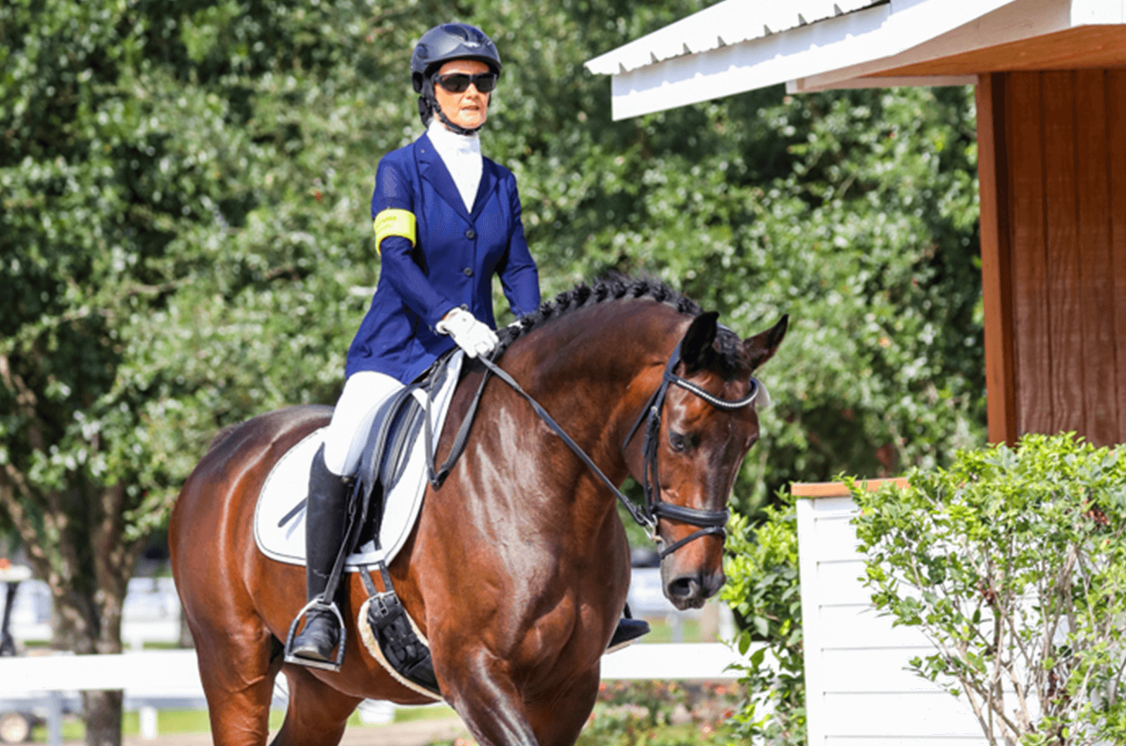 Woman in equestrian gear riding horse